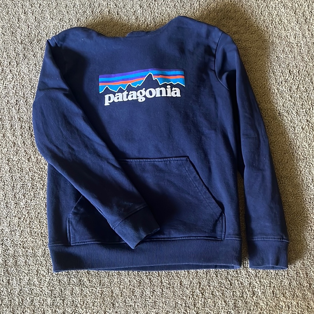 Patigonia hoddie size medium unisex